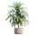 Plant Icon